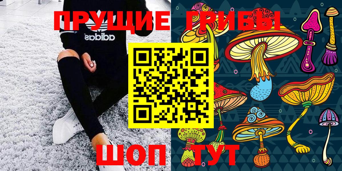 Щёкино  Галлюциногенные грибы MAGIC MUSHROOMS  Галлюциногенные грибы Psilocybe  Вход с VPN 
